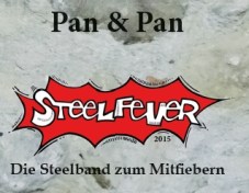 Cover Steelfever